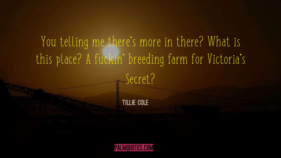 Tillie Cole Quotes: You telling me there's more