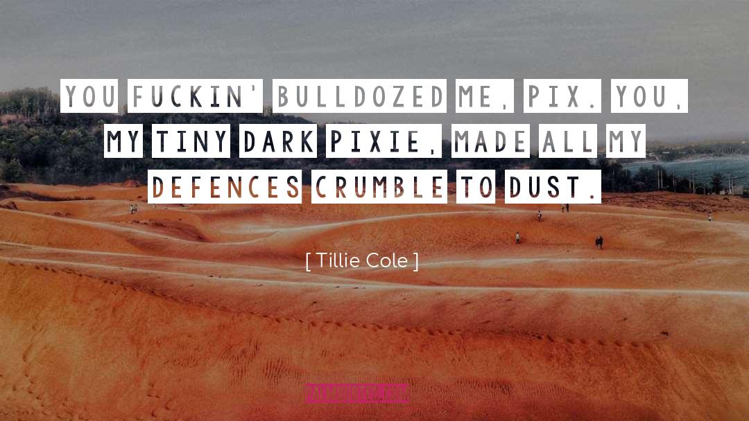 Tillie Cole Quotes: You fuckin' bulldozed me, Pix.