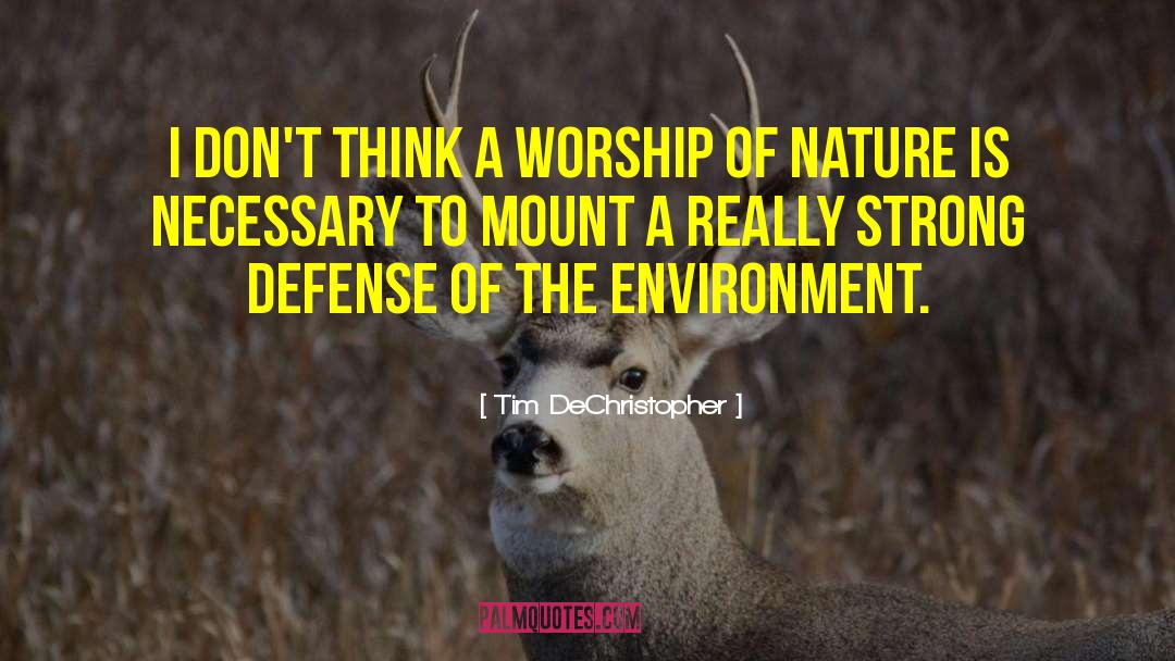 Tim DeChristopher Quotes: I don't think a worship