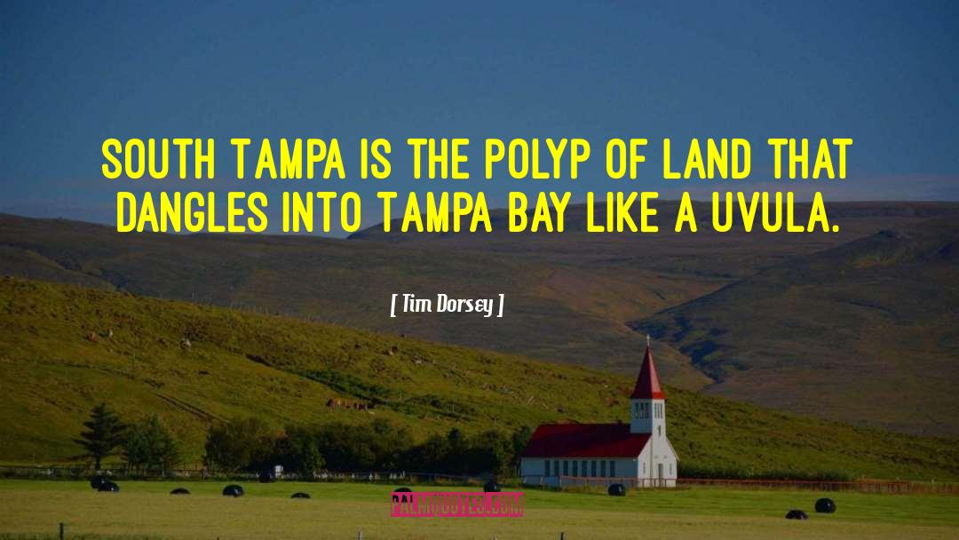 Tim Dorsey Quotes: South Tampa is the polyp