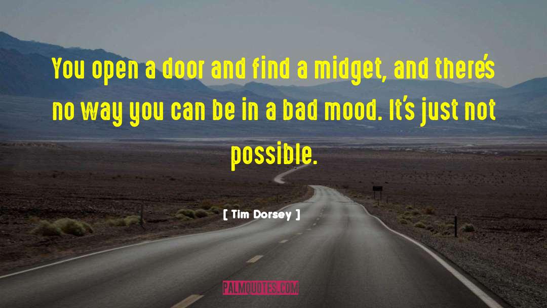 Tim Dorsey Quotes: You open a door and