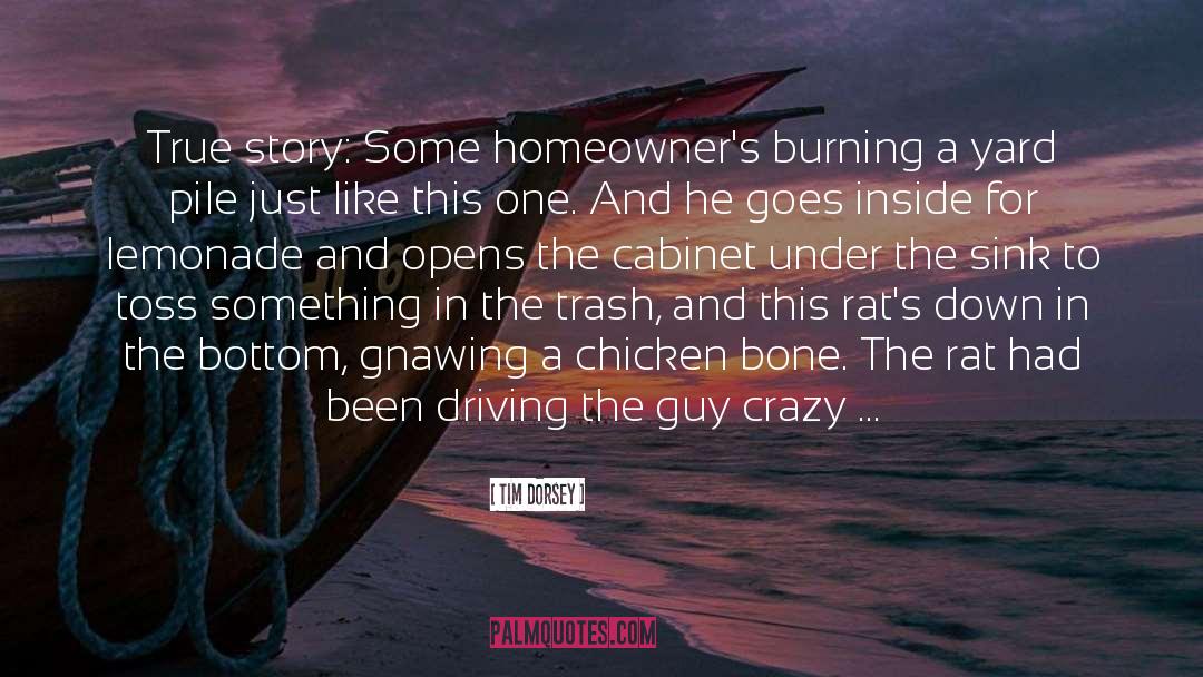Tim Dorsey Quotes: True story: Some homeowner's burning