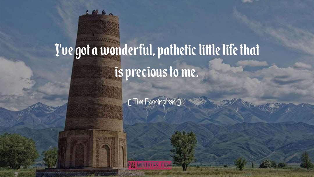 Tim Farrington Quotes: I've got a wonderful, pathetic