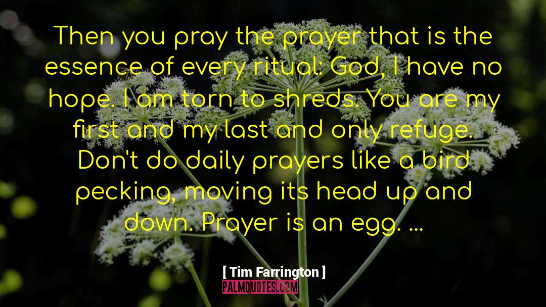 Tim Farrington Quotes: Then you pray the prayer