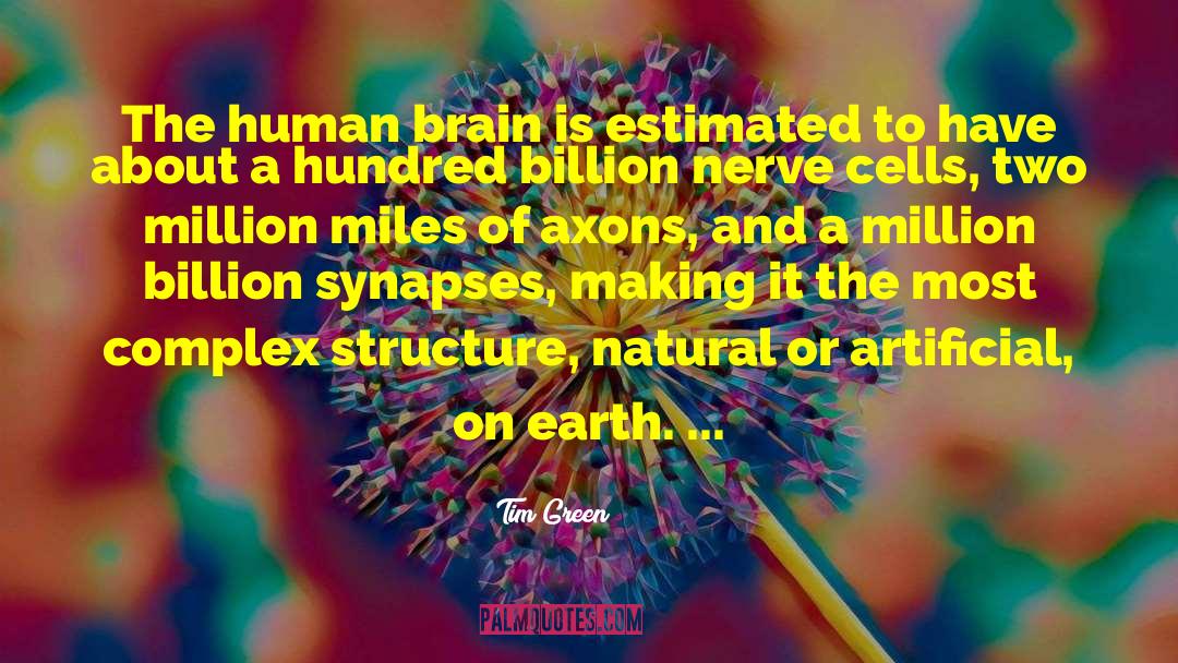 Tim Green Quotes: The human brain is estimated