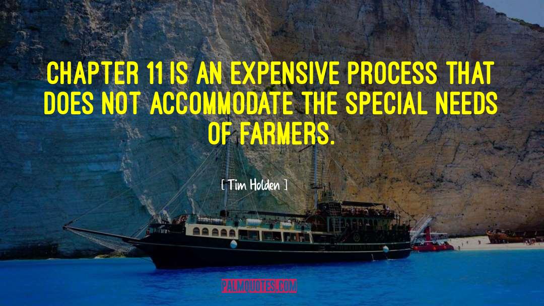 Tim Holden Quotes: Chapter 11 is an expensive