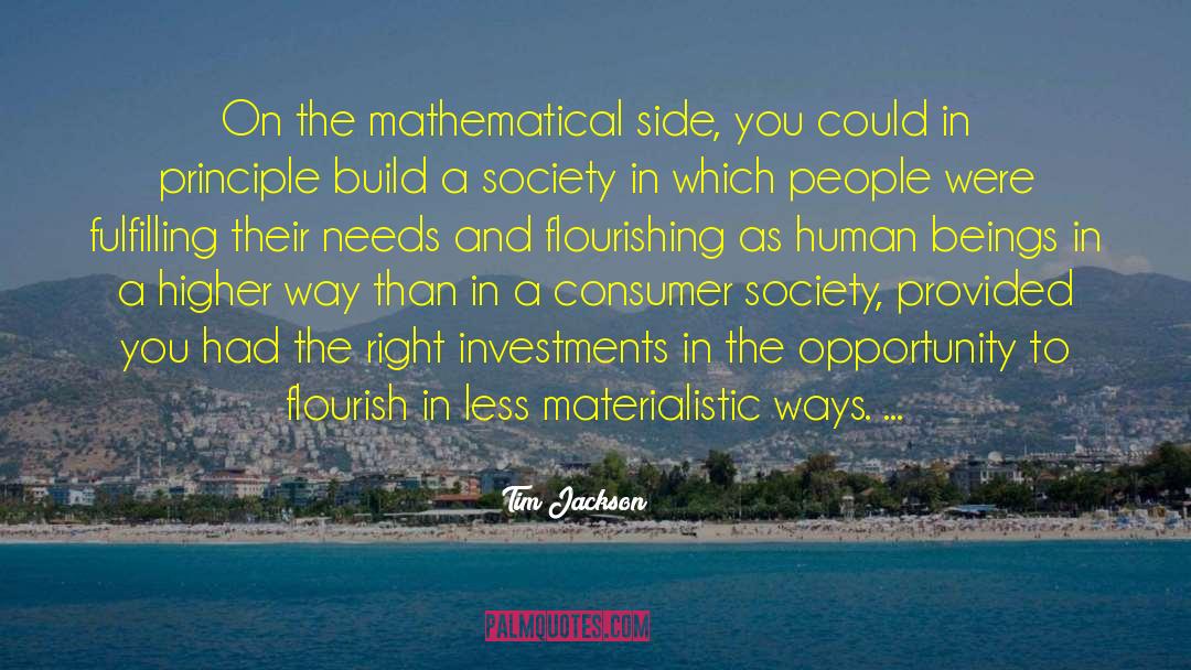 Tim Jackson Quotes: On the mathematical side, you