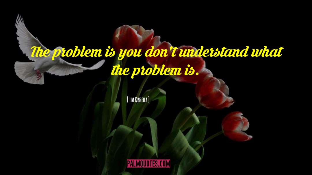 Tim Kinsella Quotes: The problem is you don't
