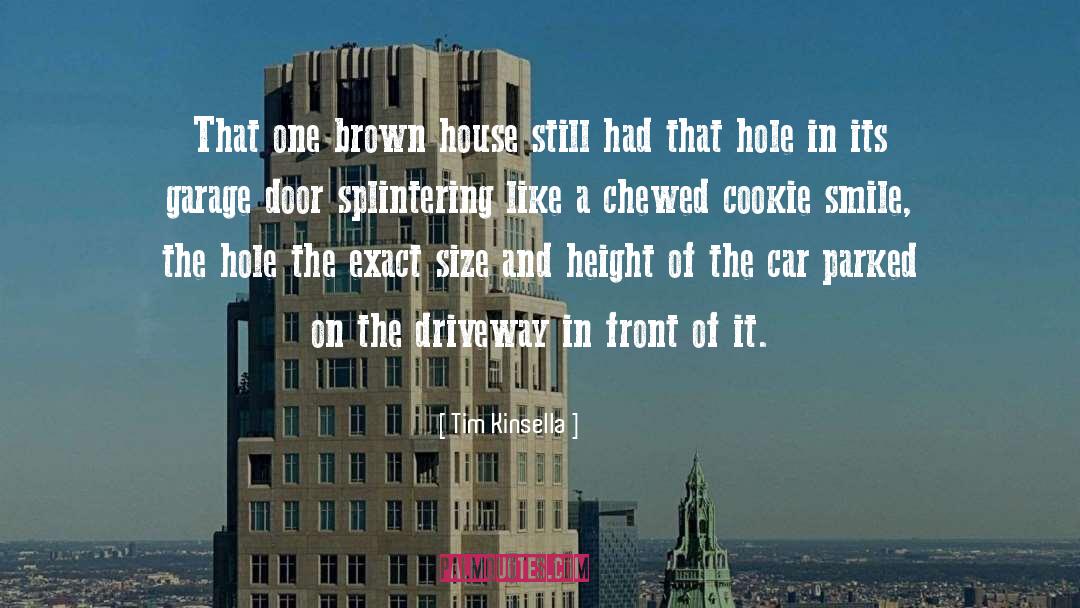Tim Kinsella Quotes: That one brown house still