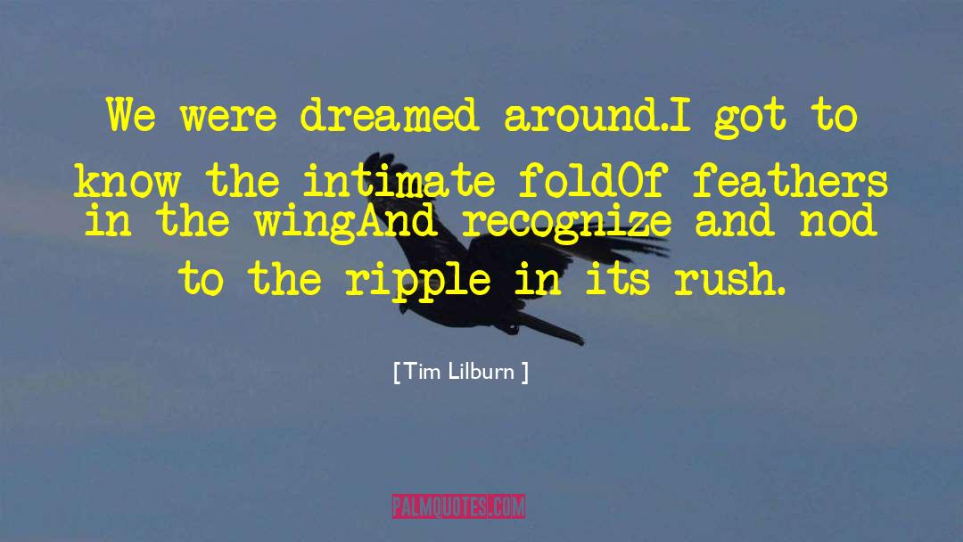 Tim Lilburn Quotes: We were dreamed around.<br />I
