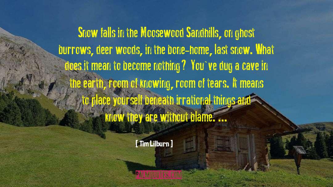 Tim Lilburn Quotes: Snow falls in the Moosewood
