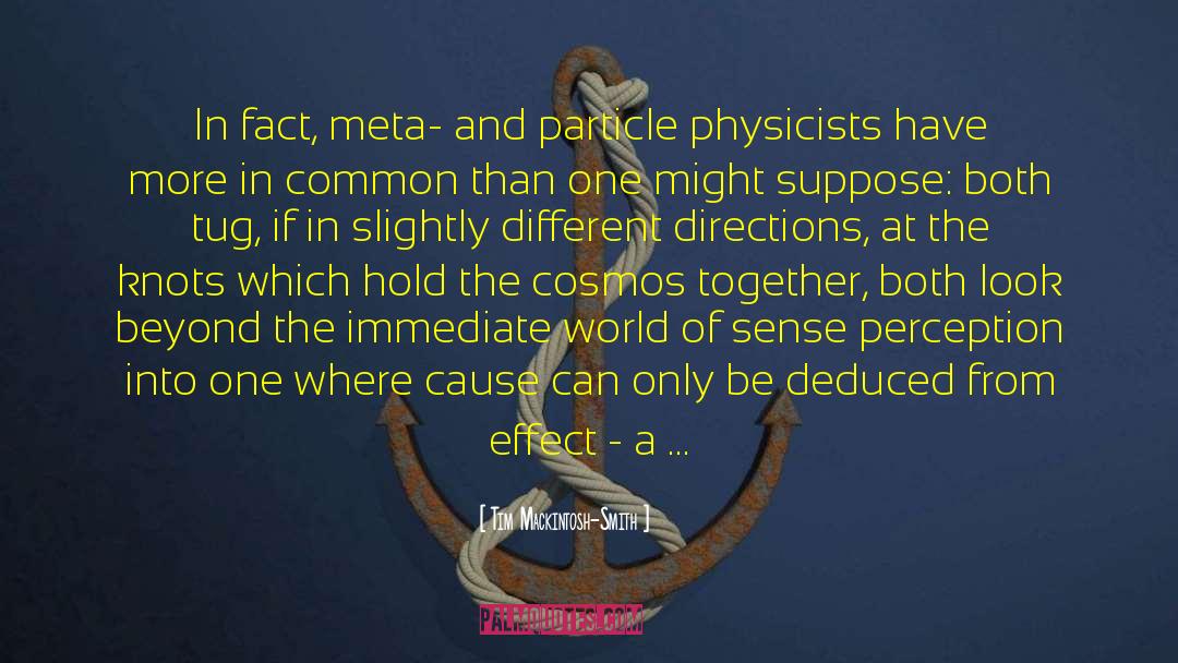 Tim Mackintosh-Smith Quotes: In fact, meta- and particle
