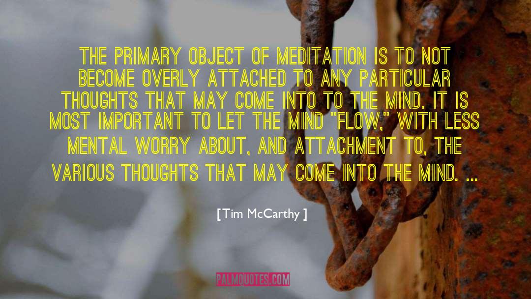 Tim McCarthy Quotes: The primary object of meditation
