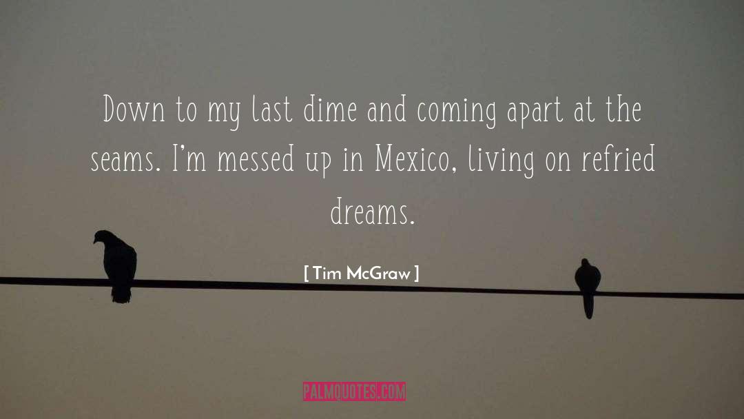 Tim McGraw Quotes: Down to my last dime