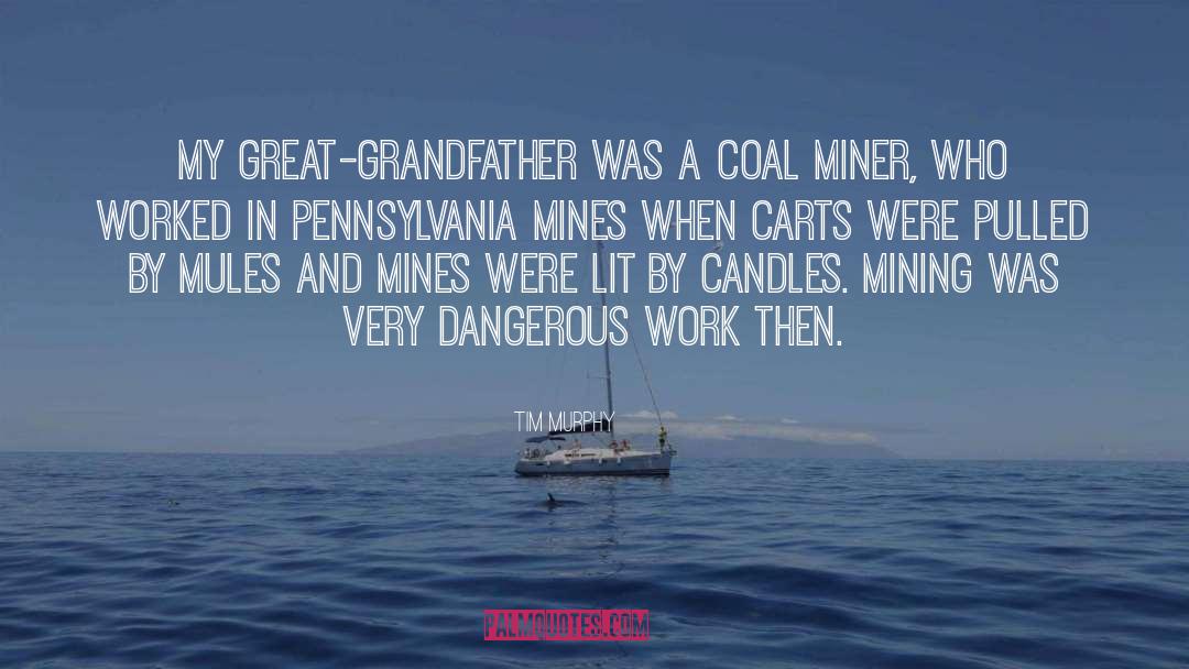 Tim Murphy Quotes: My great-grandfather was a coal