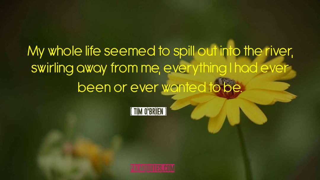 Tim O'Brien Quotes: My whole life seemed to