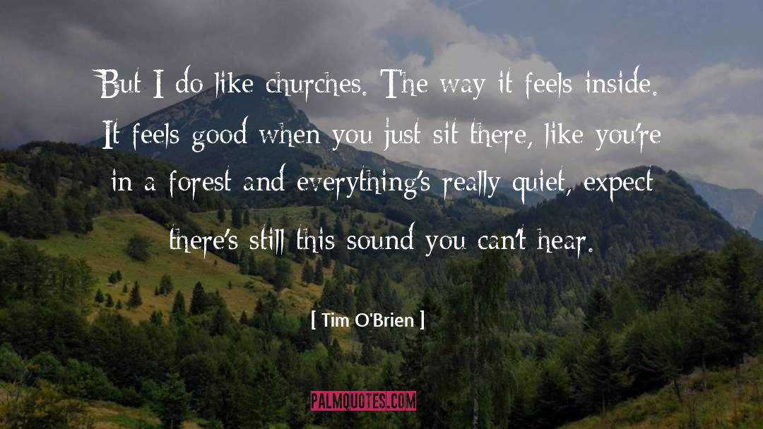 Tim O'Brien Quotes: But I do like churches.