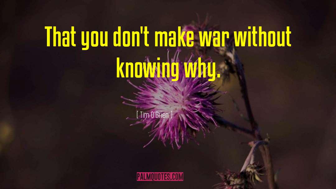 Tim O'Brien Quotes: That you don't make war