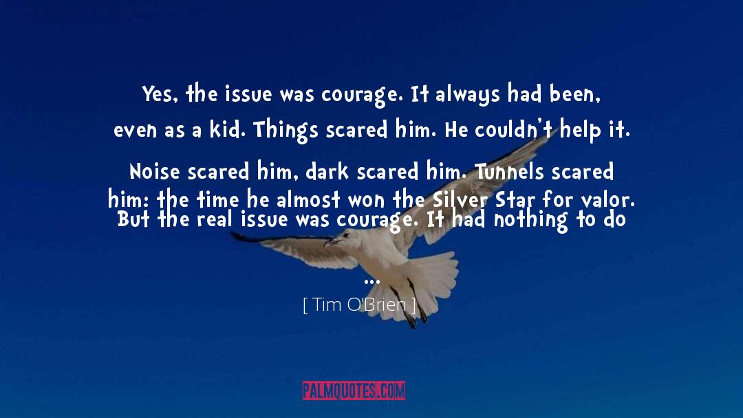 Tim O'Brien Quotes: Yes, the issue was courage.