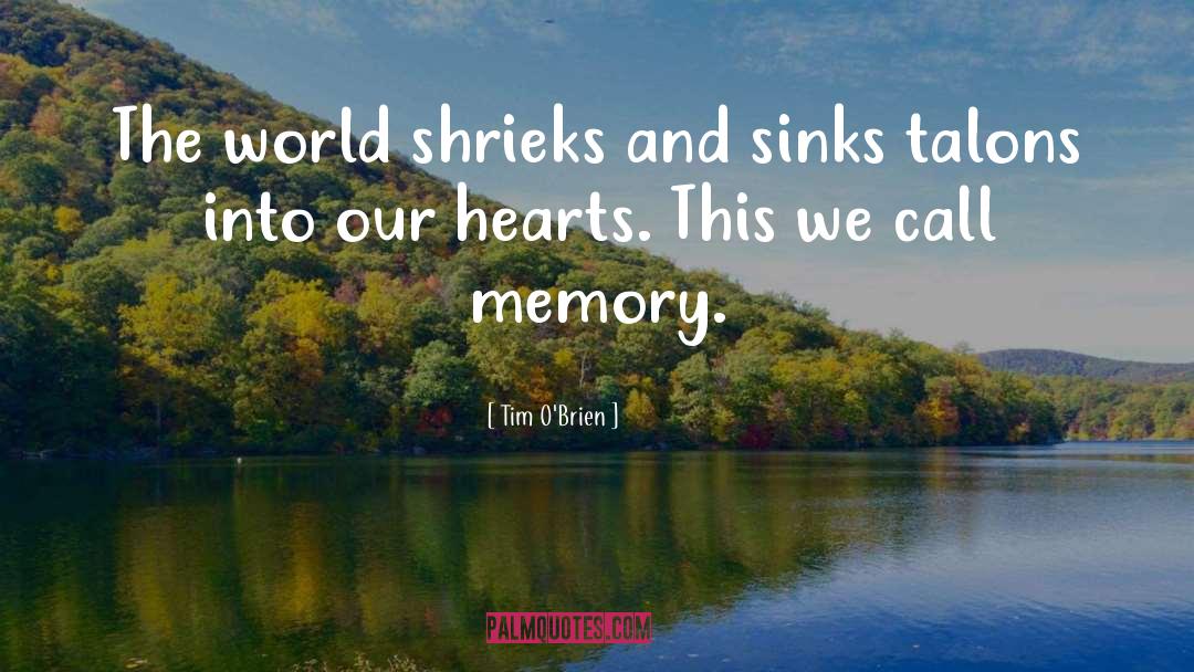 Tim O'Brien Quotes: The world shrieks and sinks