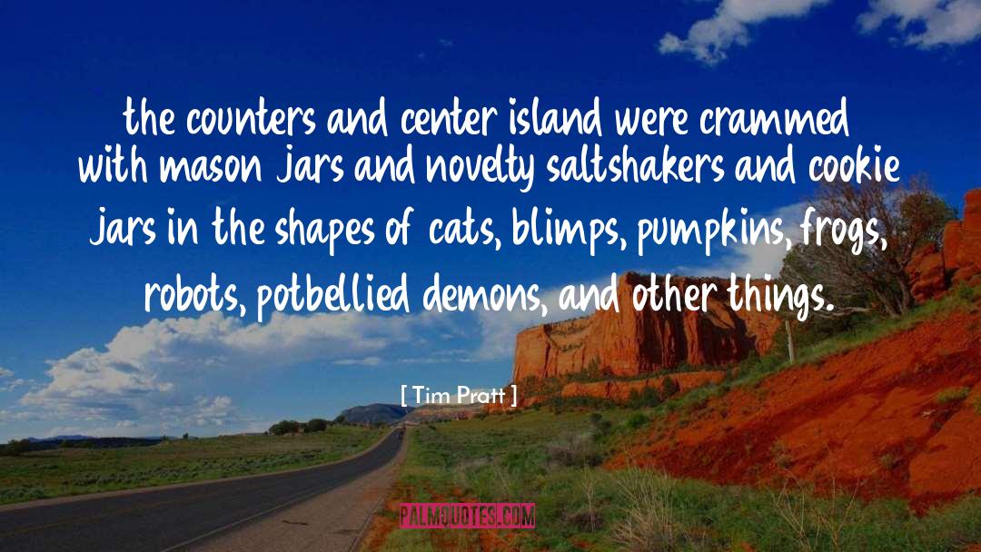 Tim Pratt Quotes: the counters and center island