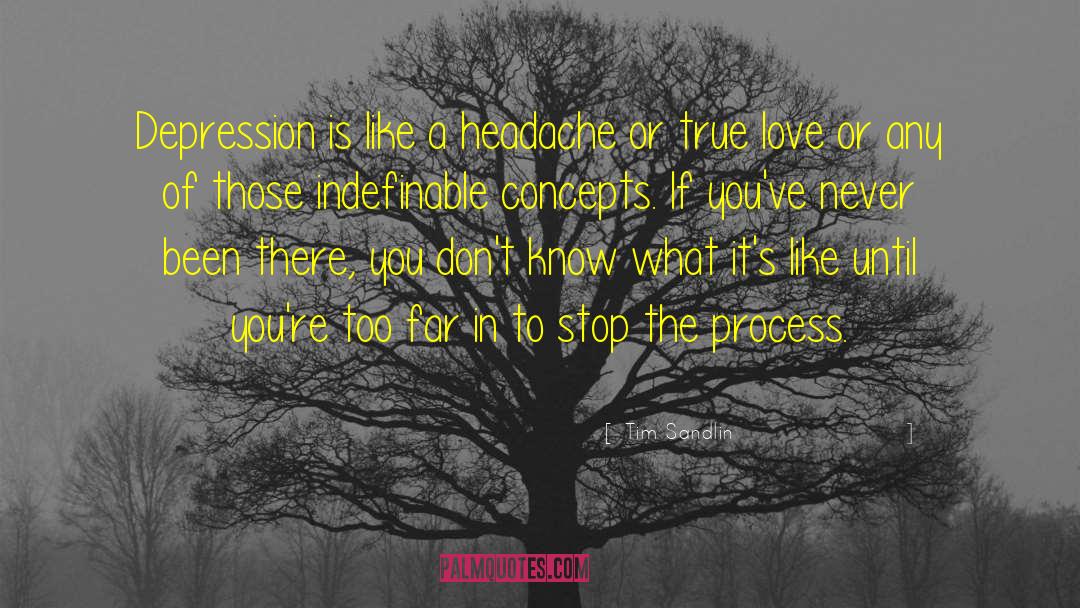 Tim Sandlin Quotes: Depression is like a headache