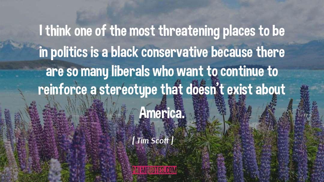 Tim Scott Quotes: I think one of the