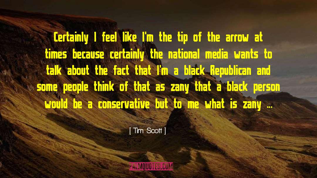 Tim Scott Quotes: Certainly I feel like I'm