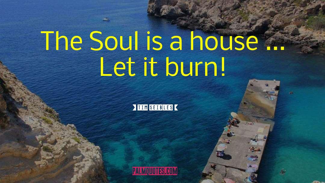 Tim Seibles Quotes: The Soul is a house
