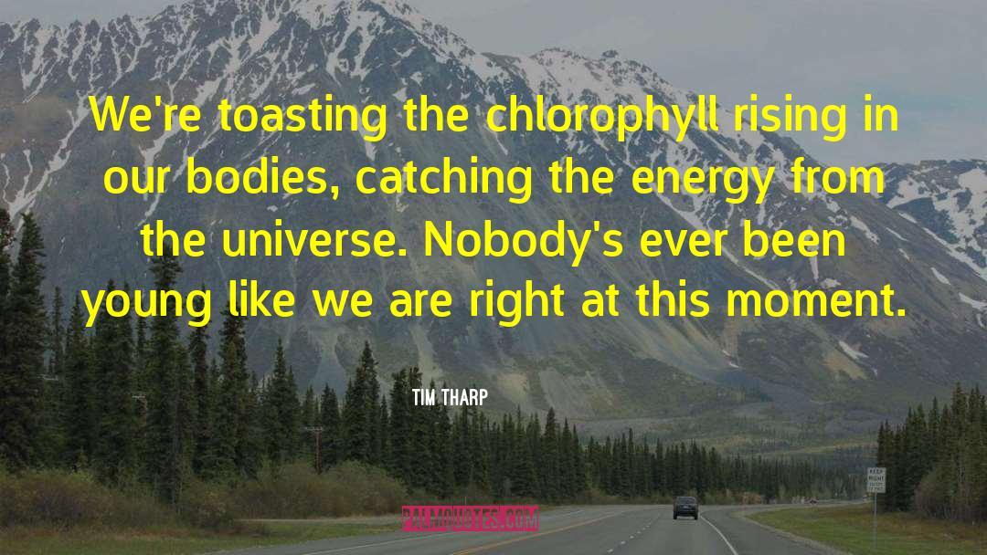 Tim Tharp Quotes: We're toasting the chlorophyll rising