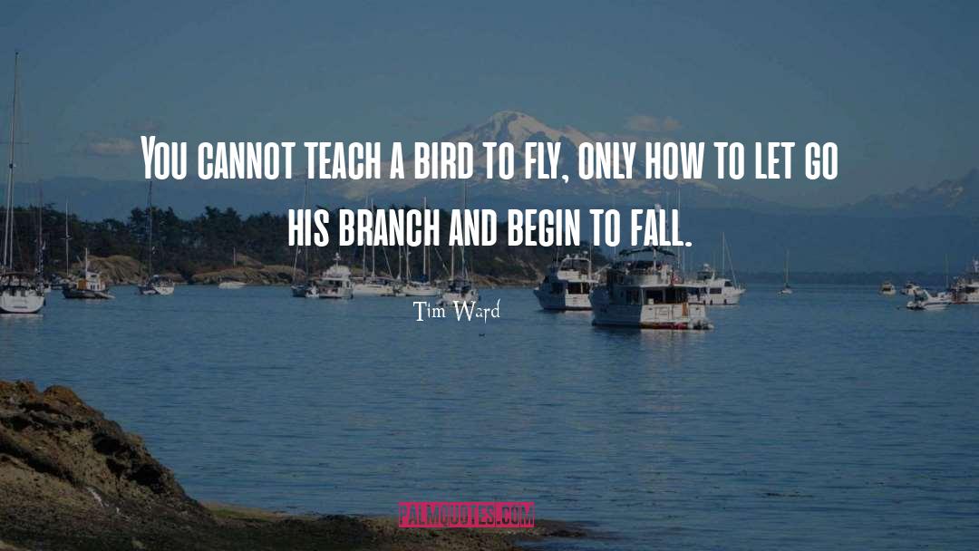 Tim Ward Quotes: You cannot teach a bird