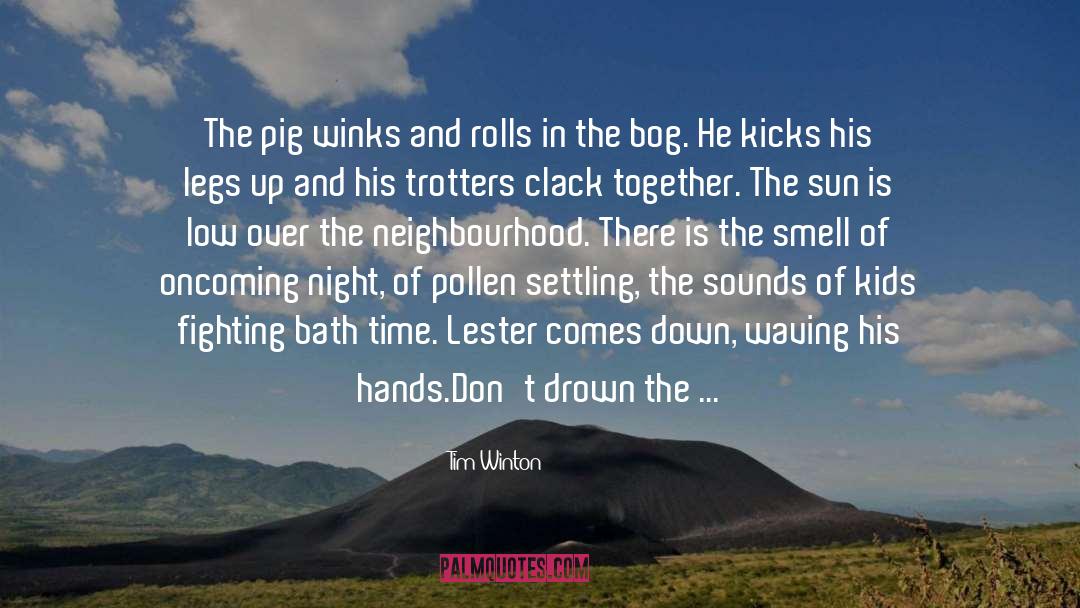 Tim Winton Quotes: The pig winks and rolls