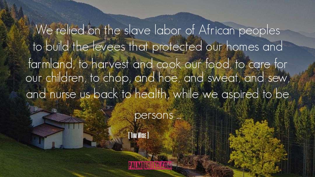 Tim Wise Quotes: We relied on the slave