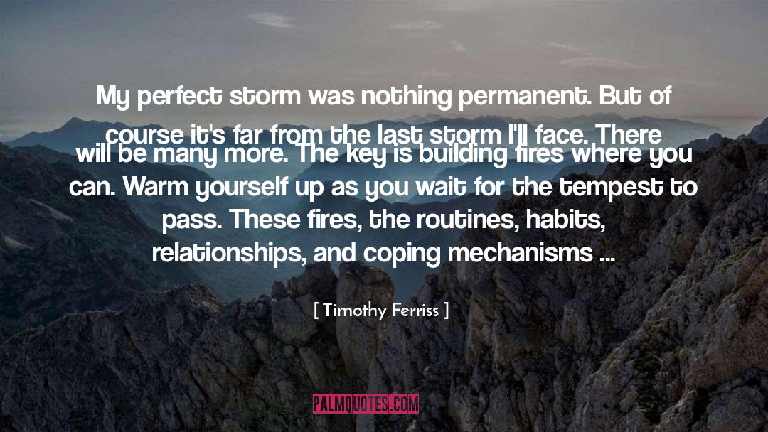 Timothy Ferriss Quotes: My perfect storm was nothing