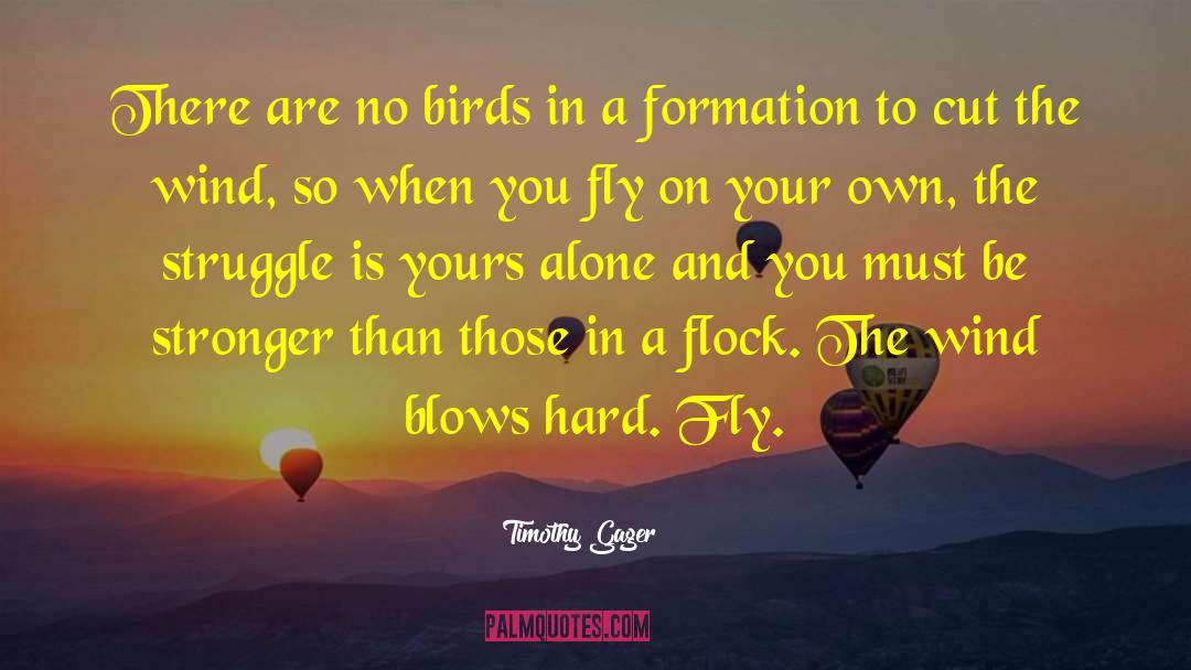 Timothy Gager Quotes: There are no birds in