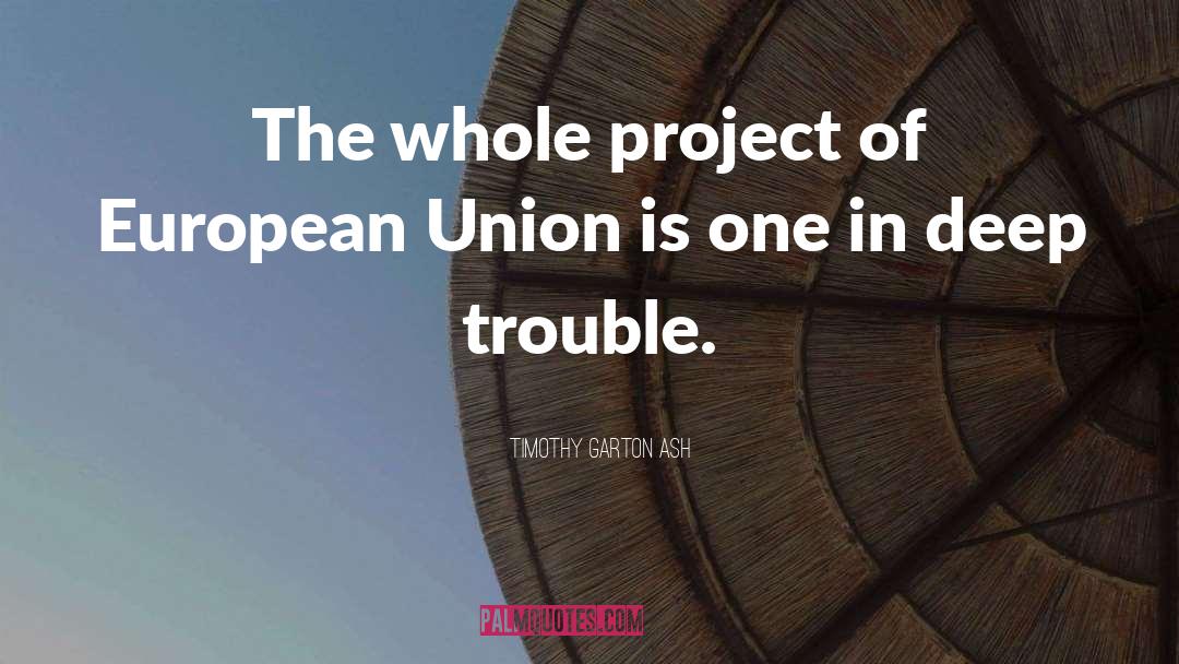 Timothy Garton Ash Quotes: The whole project of European