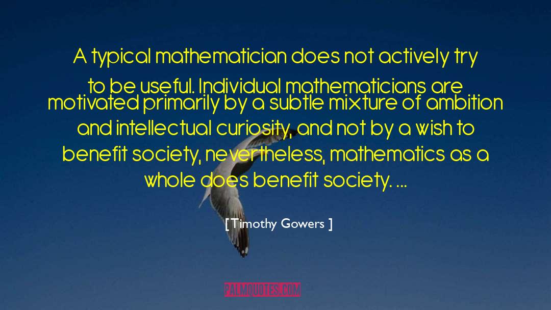 Timothy Gowers Quotes: A typical mathematician does not