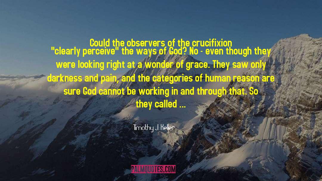 Timothy J. Keller Quotes: Could the observers of the
