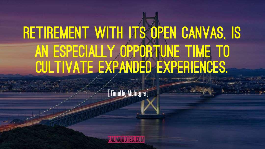 Timothy McIntyre Quotes: Retirement with its open canvas,