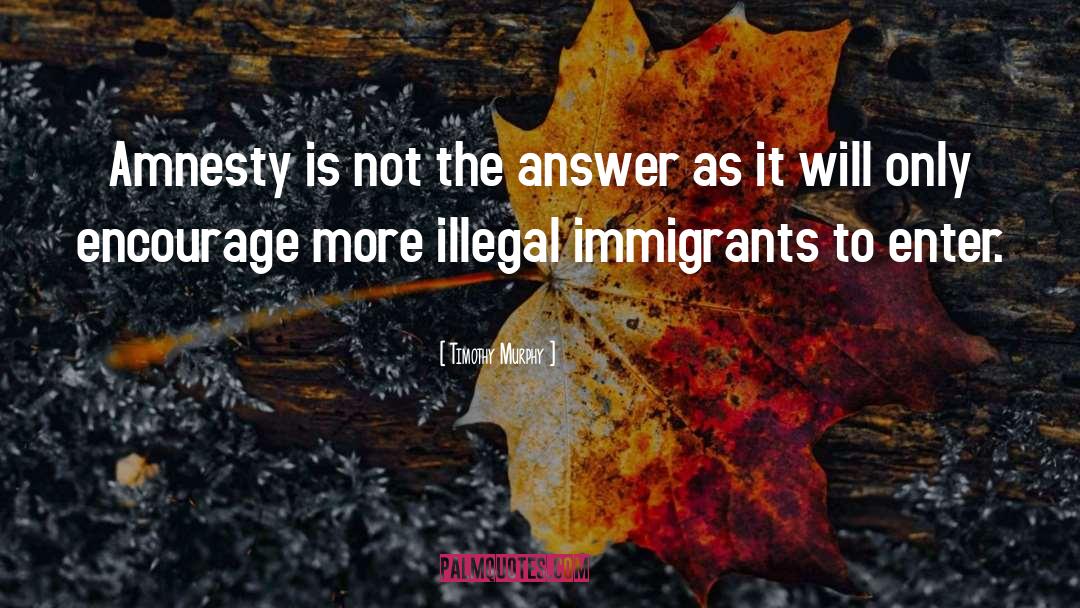 Timothy Murphy Quotes: Amnesty is not the answer