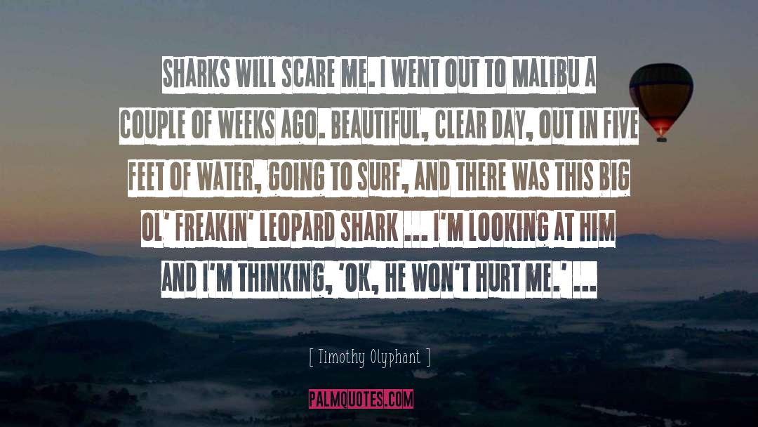 Timothy Olyphant Quotes: Sharks will scare me. I