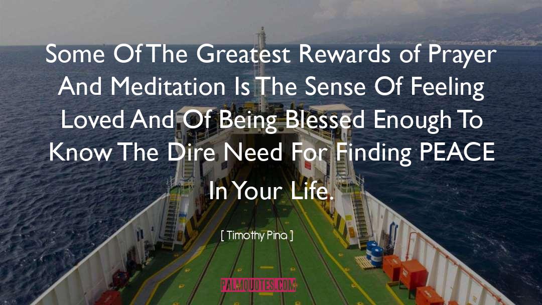 Timothy Pina Quotes: Some Of The Greatest Rewards