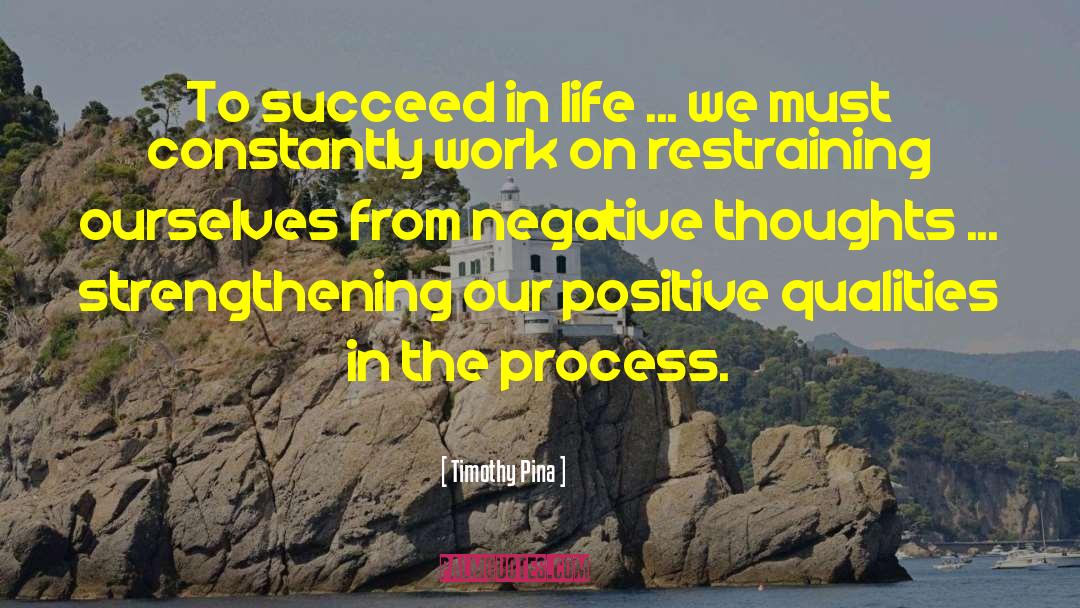 Timothy Pina Quotes: To succeed in life ...