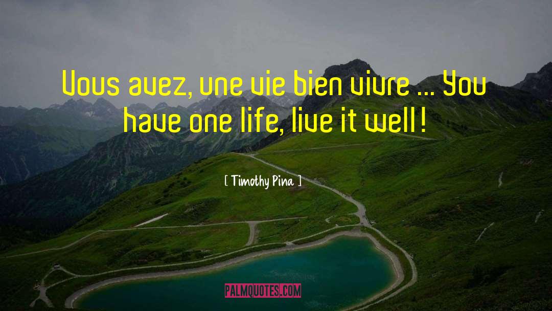 Timothy Pina Quotes: Vous avez, une vie bien