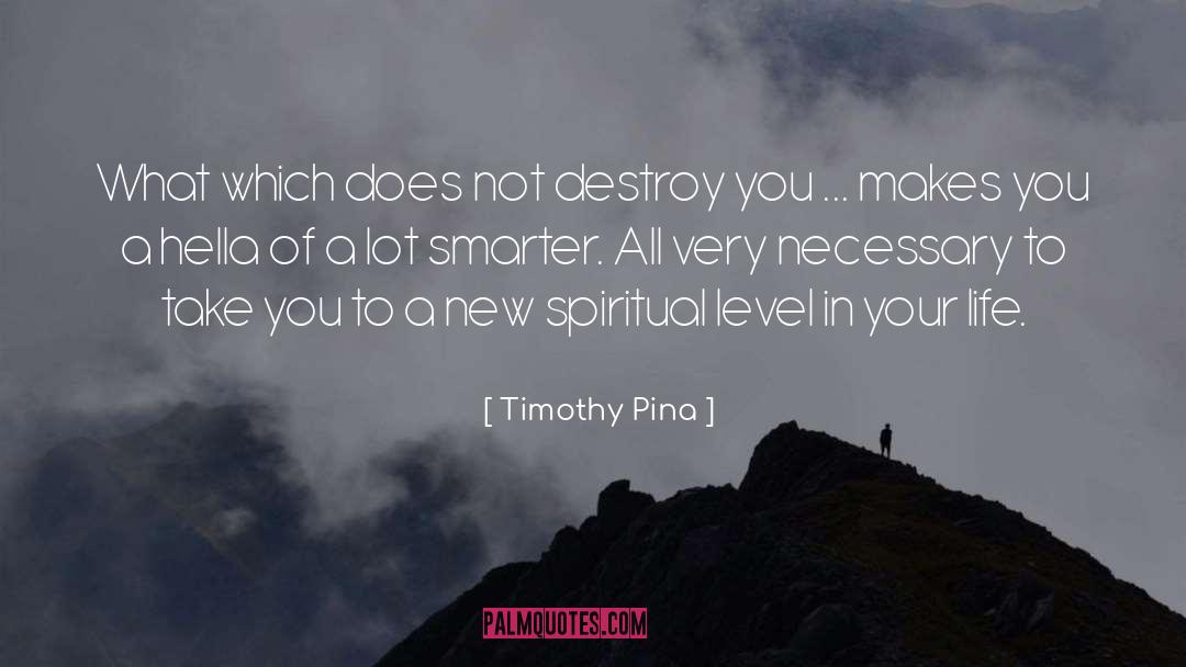 Timothy Pina Quotes: What which does not destroy
