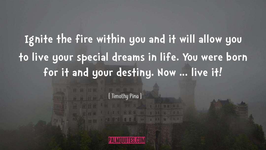 Timothy Pina Quotes: Ignite the fire within you