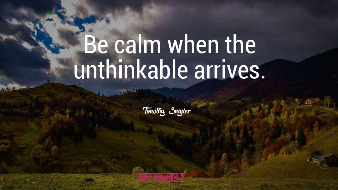 Timothy Snyder Quotes: Be calm when the unthinkable
