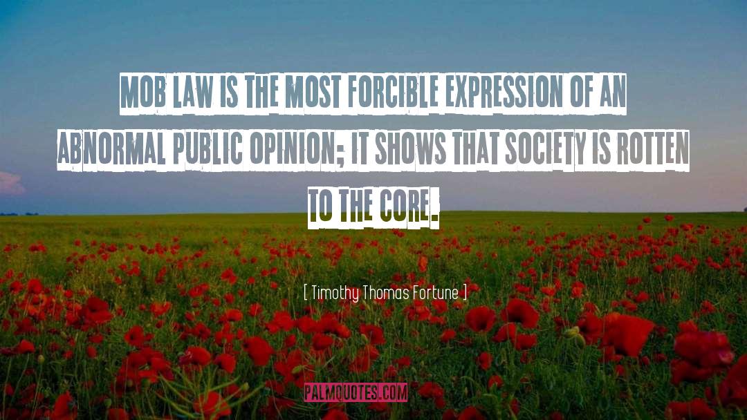 Timothy Thomas Fortune Quotes: Mob law is the most