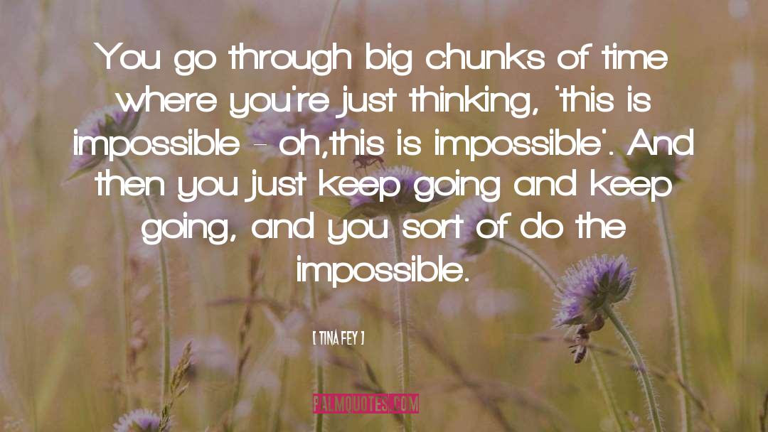 Tina Fey Quotes: You go through big chunks