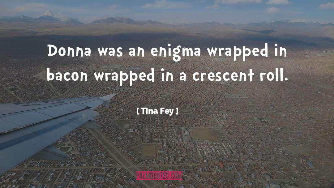 Tina Fey Quotes: Donna was an enigma wrapped